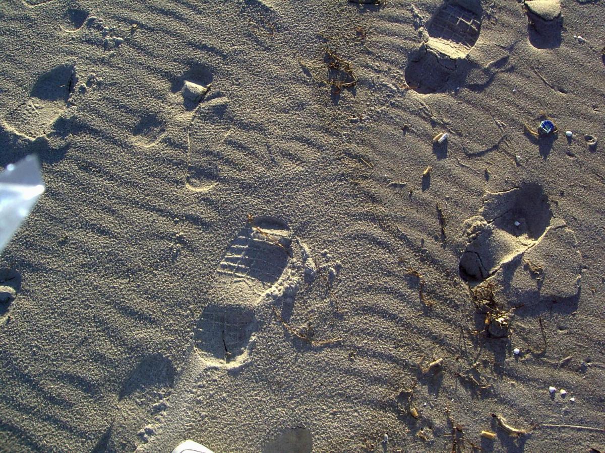 Ferienwohnung Kranich Zingst Kültér fotó